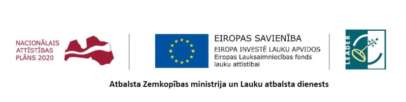 ELFLA LEADER logo copy