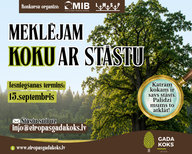 mekleju