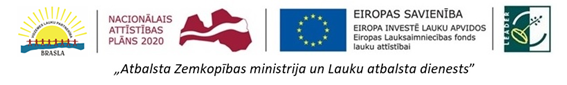 logo brasa