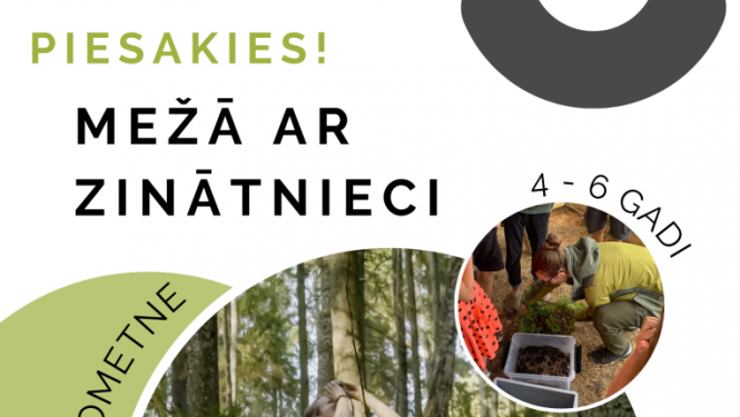 Nometne Alojā