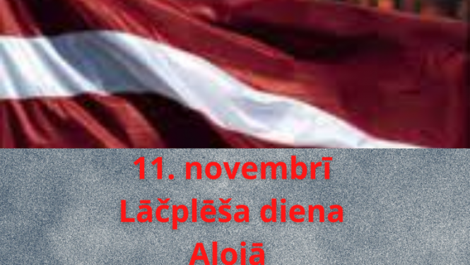 aloja 11