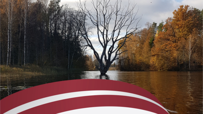 15.novembris pāle