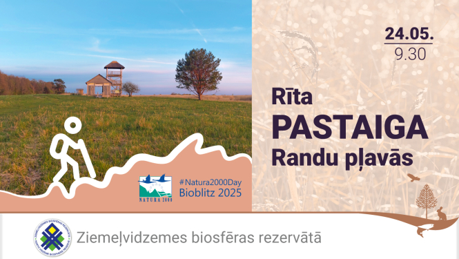 pastaiga