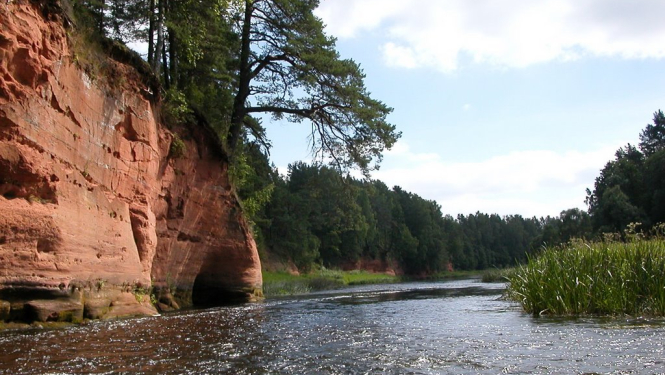 salaca