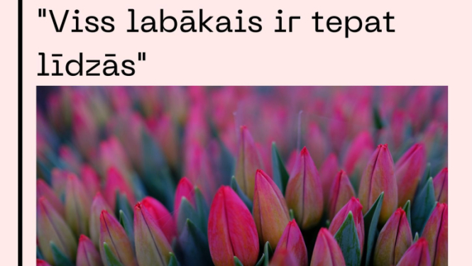 lauvas tn