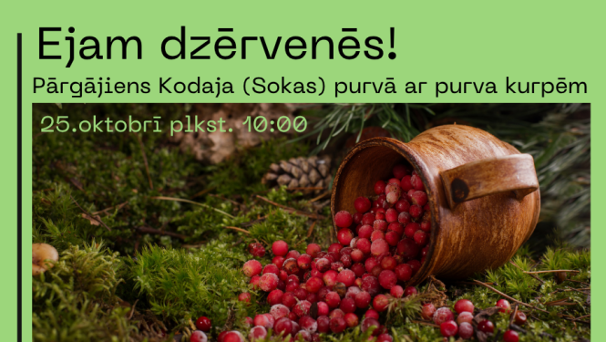 Dzērvenes