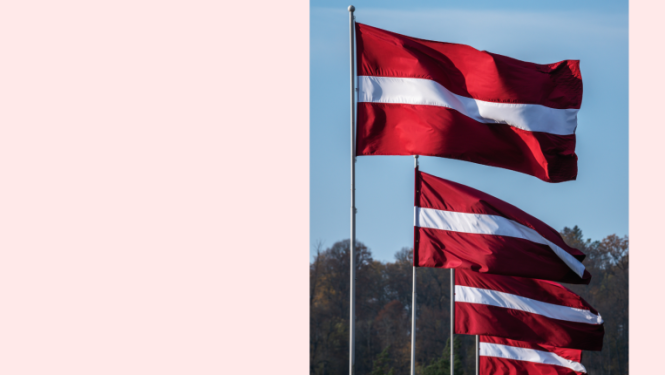 17.nov