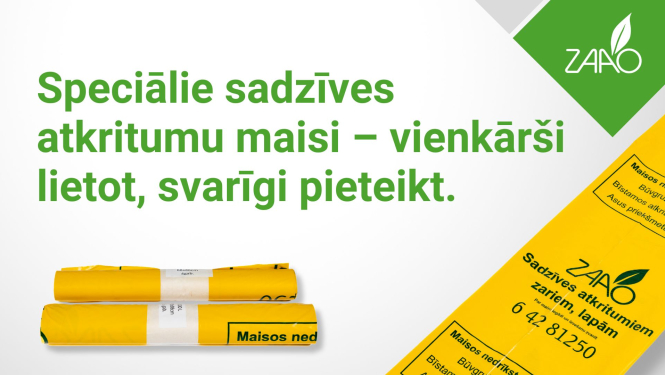 maisi