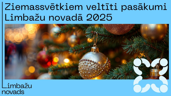 libzi