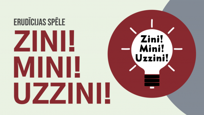 zini mini