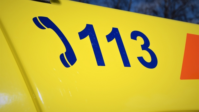 113