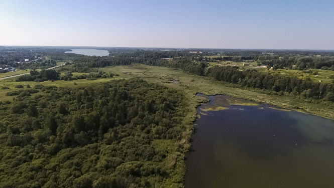 Bior ūdeņi