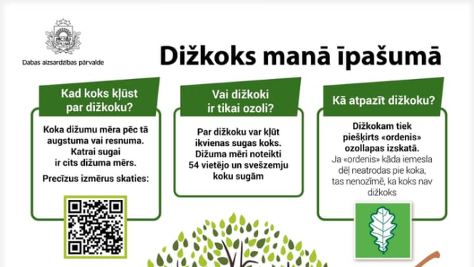 Par koku ciršanu ārpus meža platības
