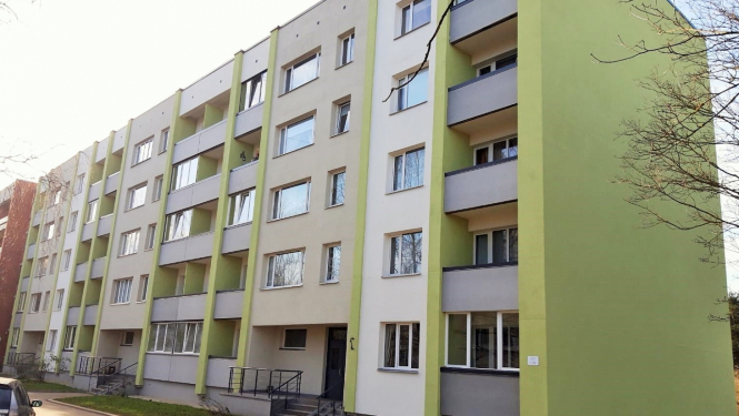ddzmaja