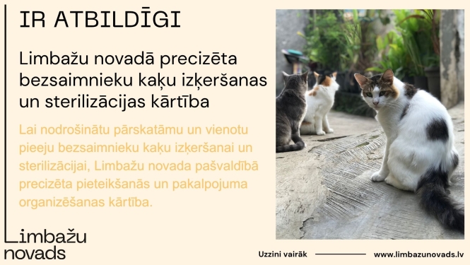 kaķi