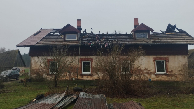 palidziba