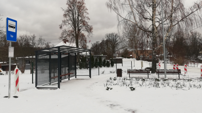 tujas pietura