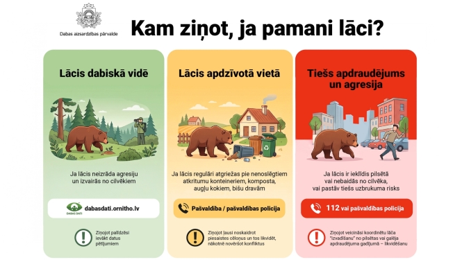 Lācis Latvijā 