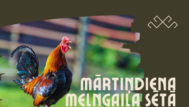 martindiena