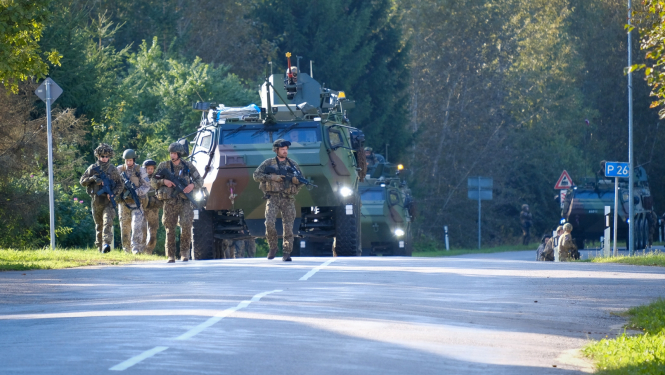 drosiba