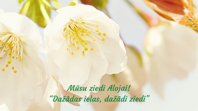 aloja2