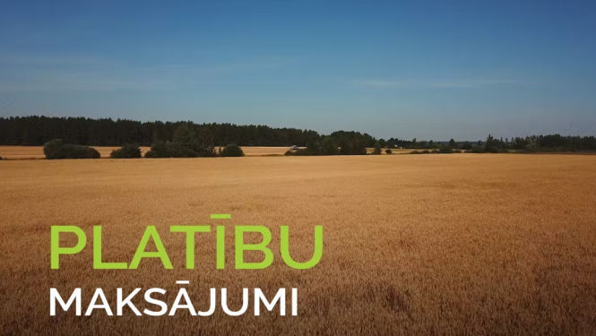 platibu maks