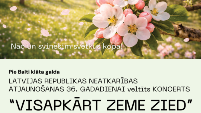 zied