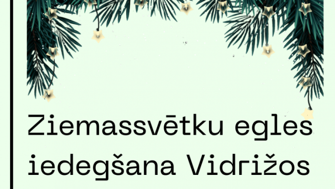 egle vidrizi