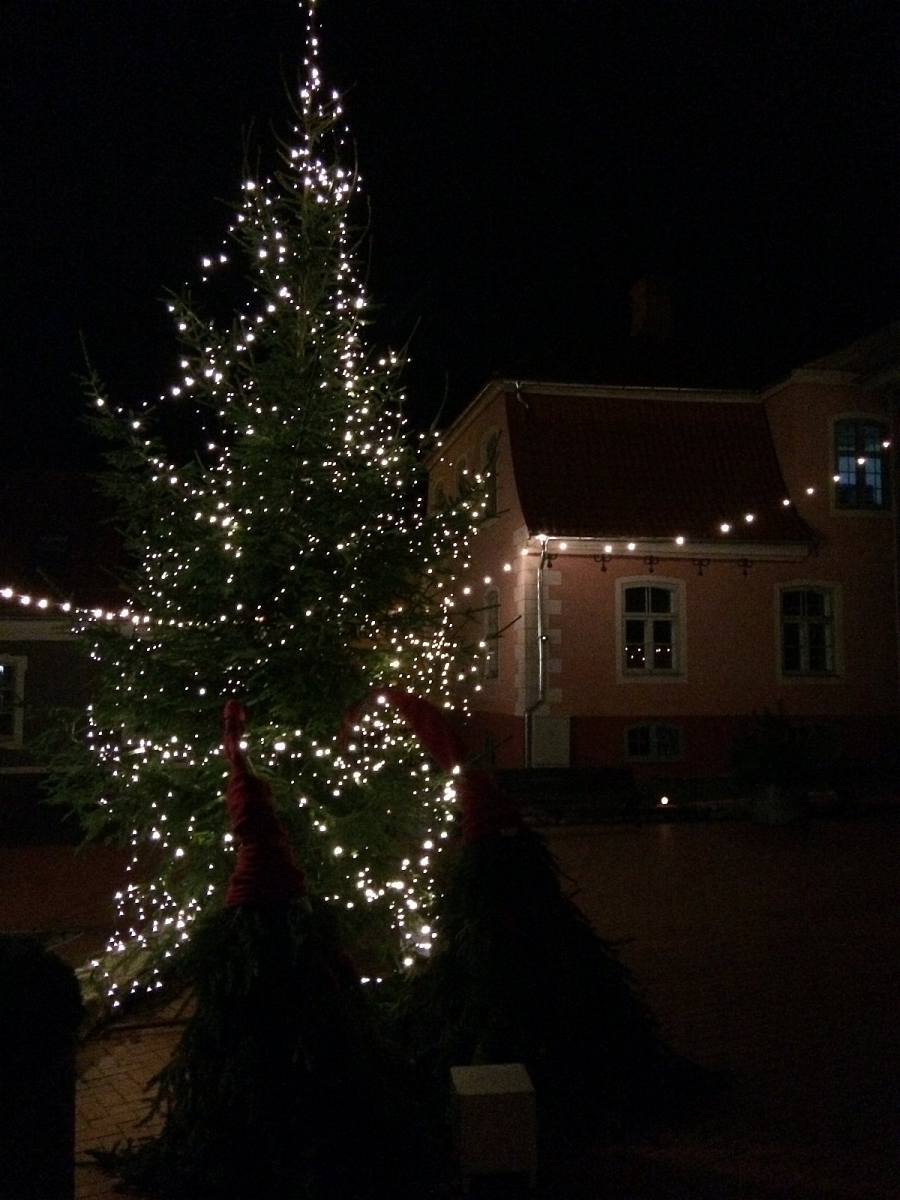 Limbažos iedegta Ziemassvētku egle