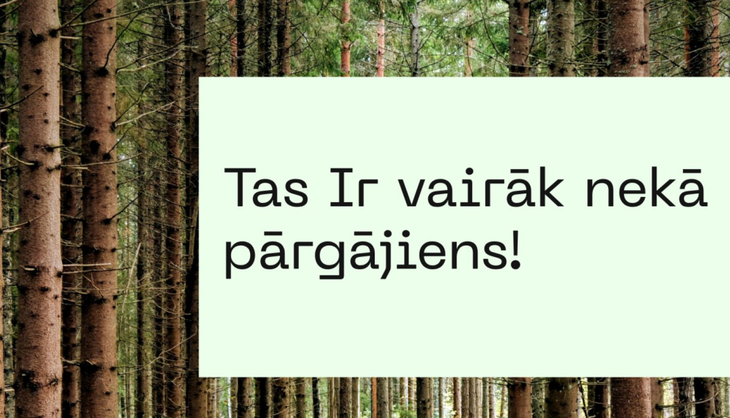 pamats