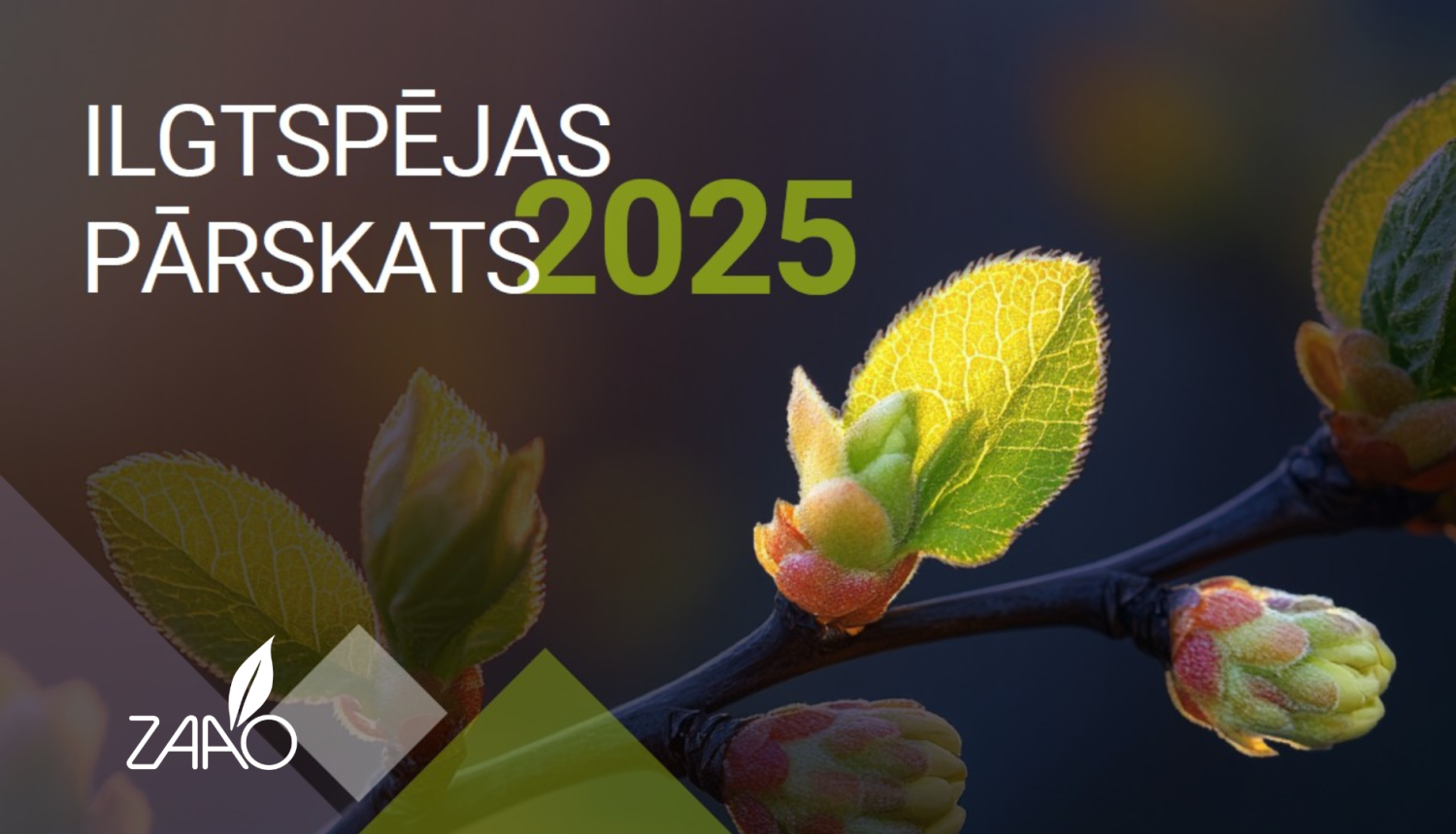 2025
