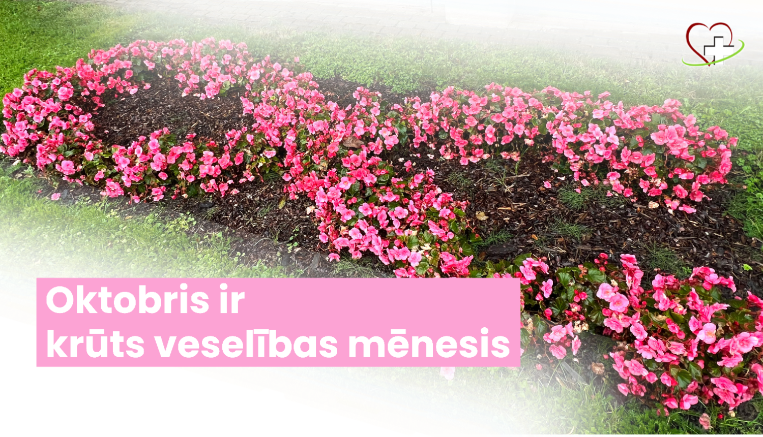 Veseliba