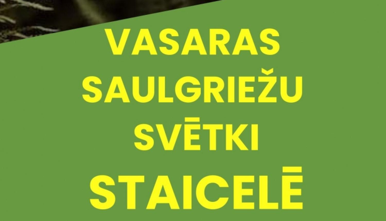 stsice jani