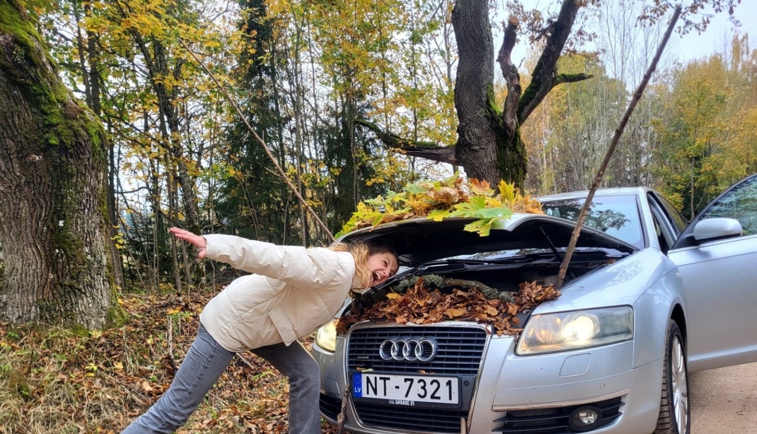sport