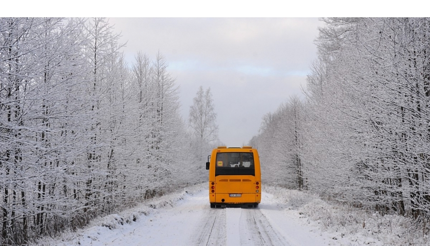Autobuss