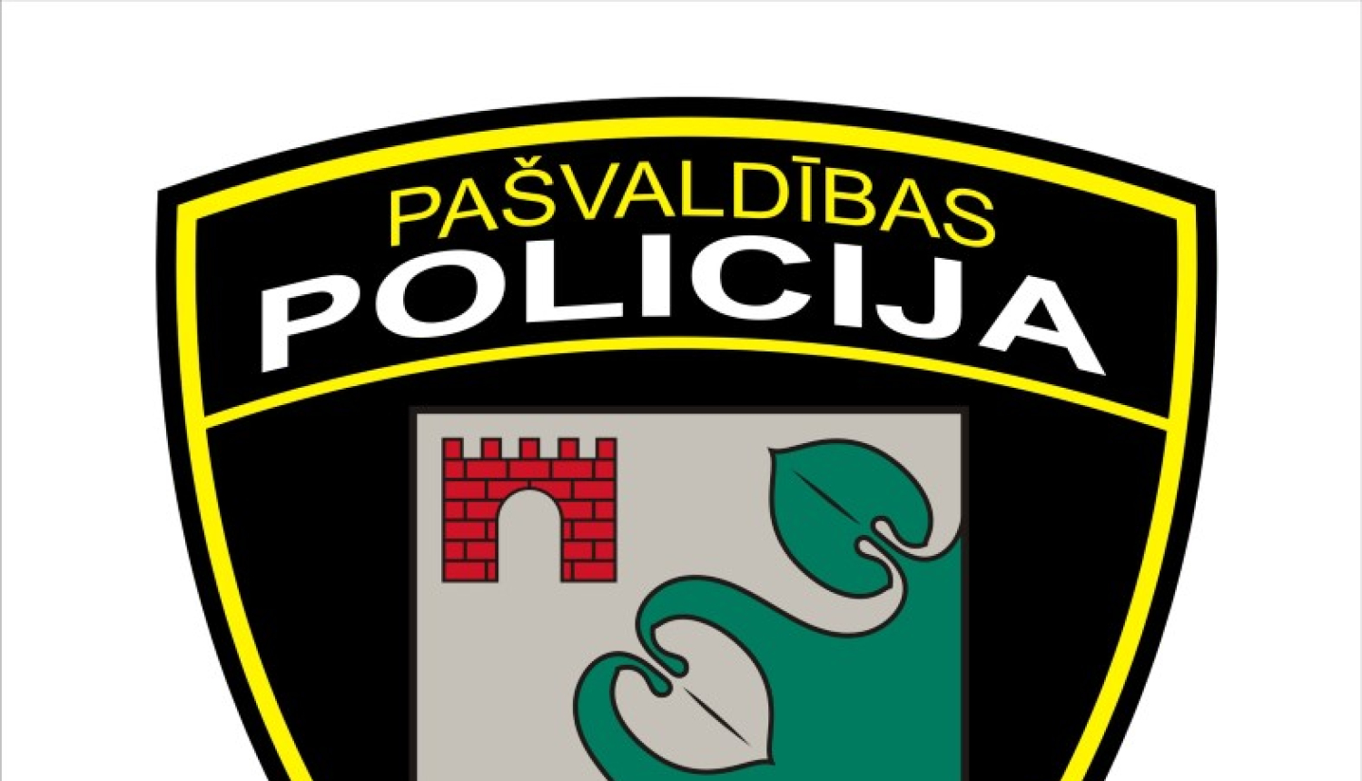 Limbažu novada pašvaldības policijas priekšnieka vietnieka amatam virza Aigaru Rēzi