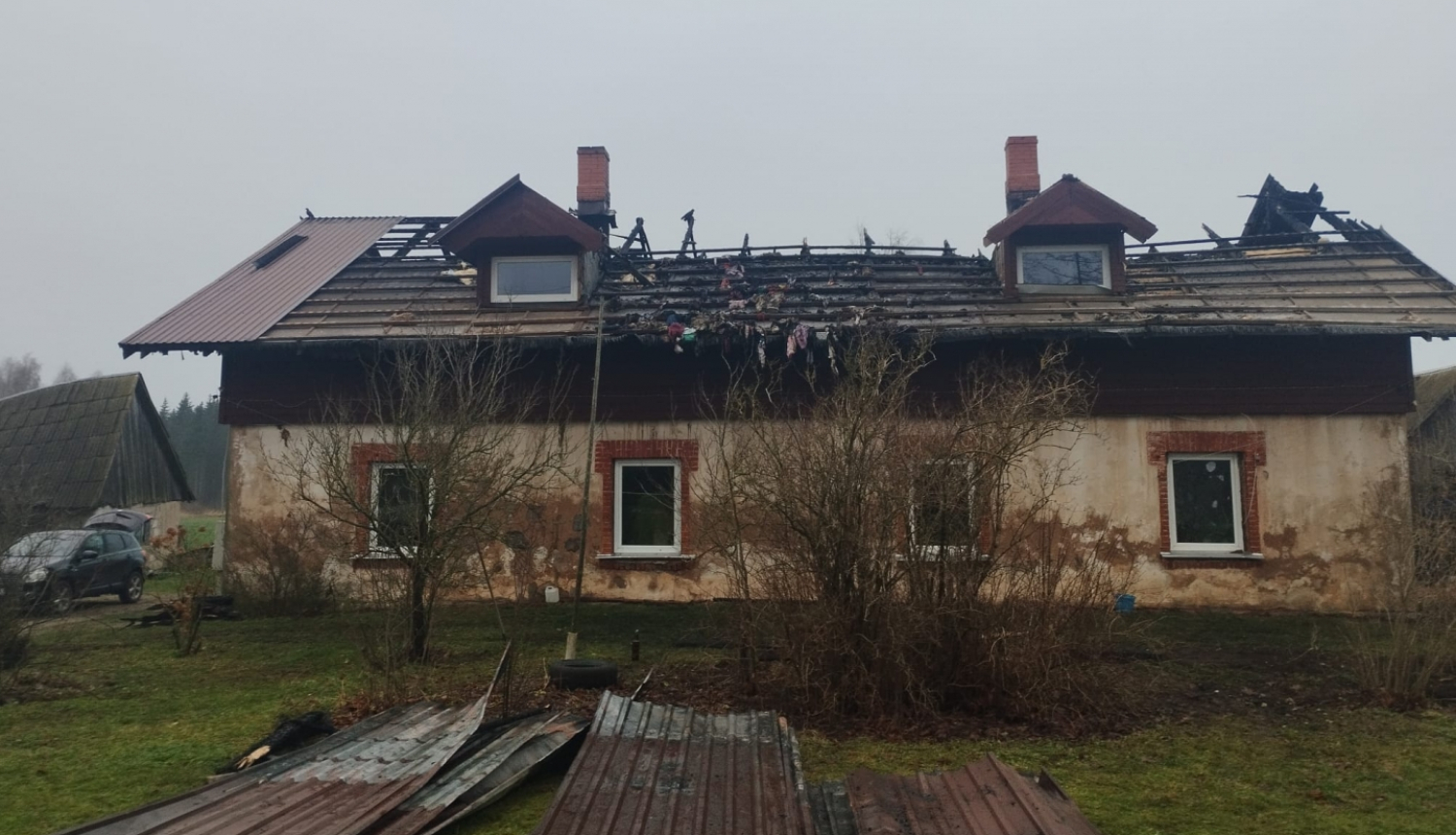 palidziba