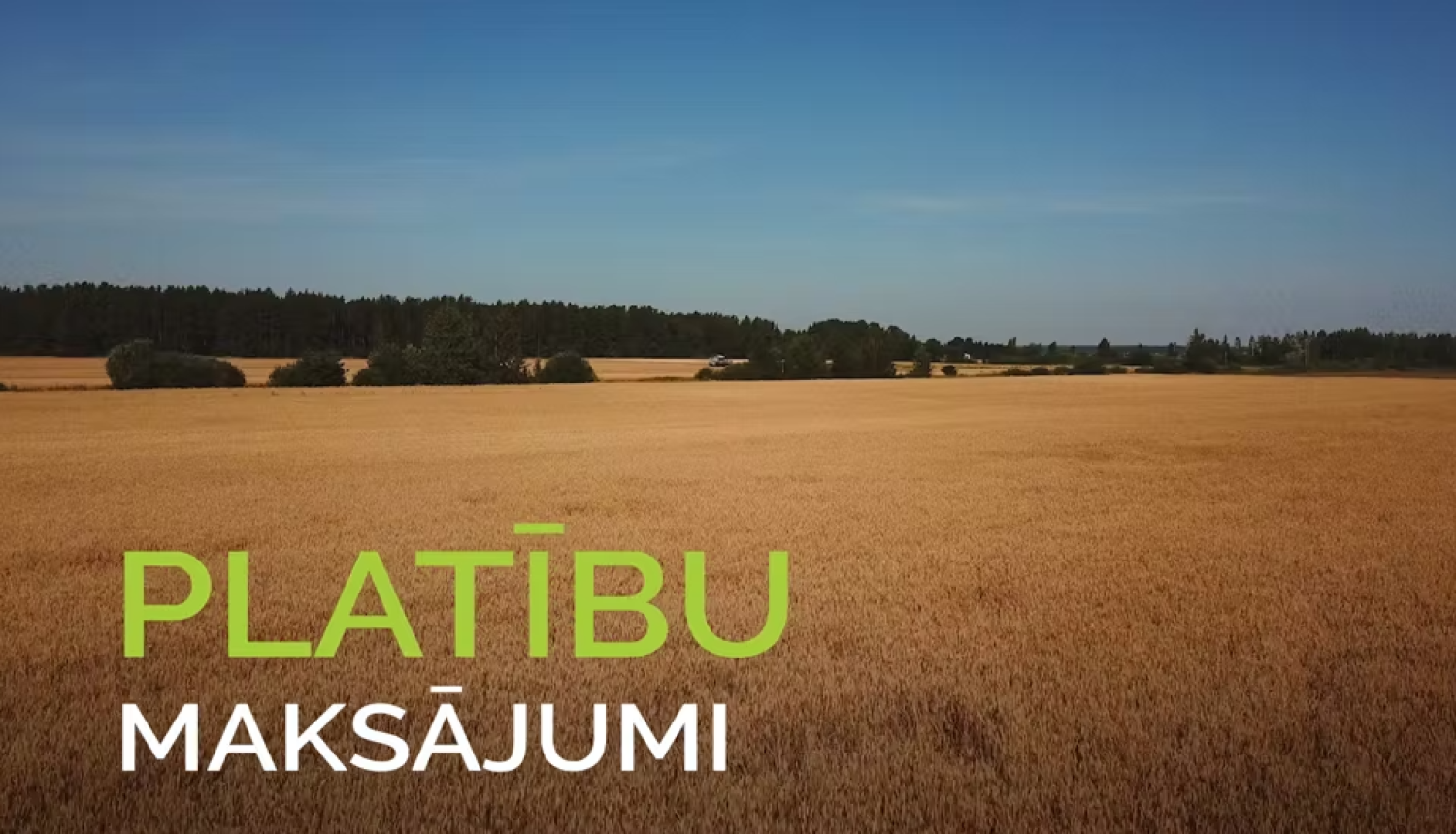 platibu maks