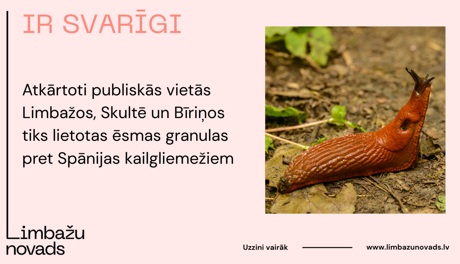 gliemezi