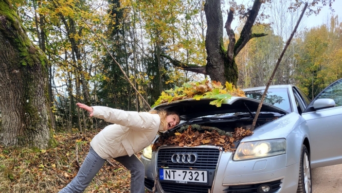 sport