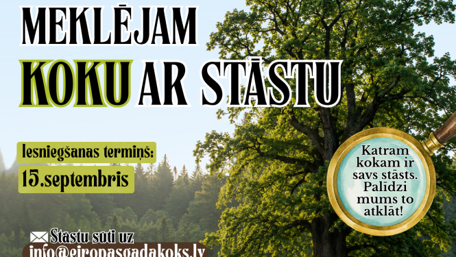 mekleju