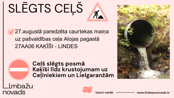 cels