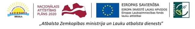 braslas logo komppng