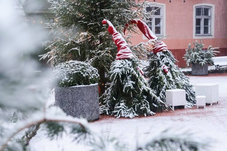 Limbažos veic Donaviņas attīrīšanu no liekajiem aizaugumiem