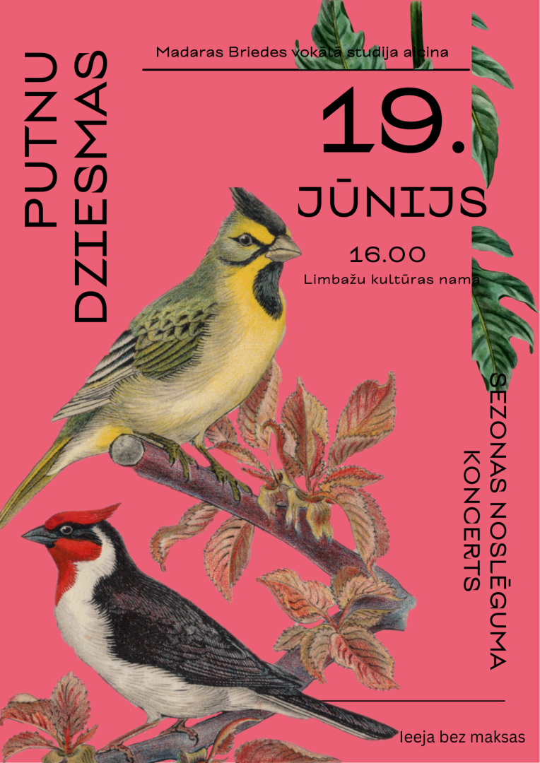 putnu dz