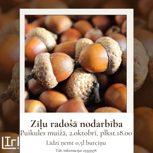 zīļu radošā nodarbība