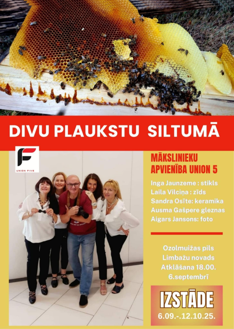 divi