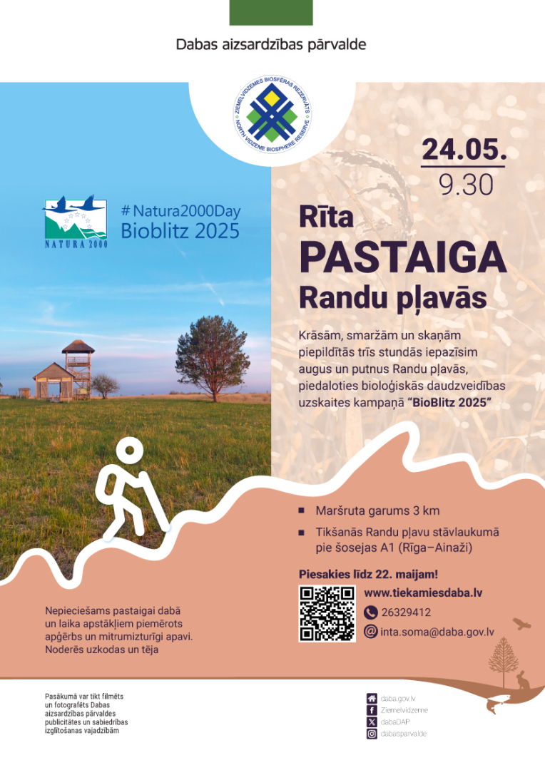 Randu plava