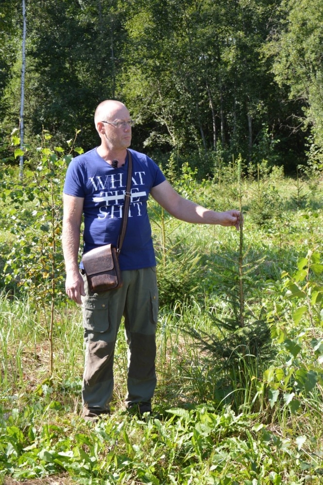 Gatis Lācis no Limbažu novada konkursā “Sakoptākais mežs” saņem “Zelta čiekuru”