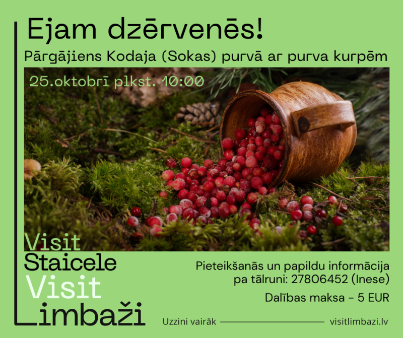 Dzērvenes
